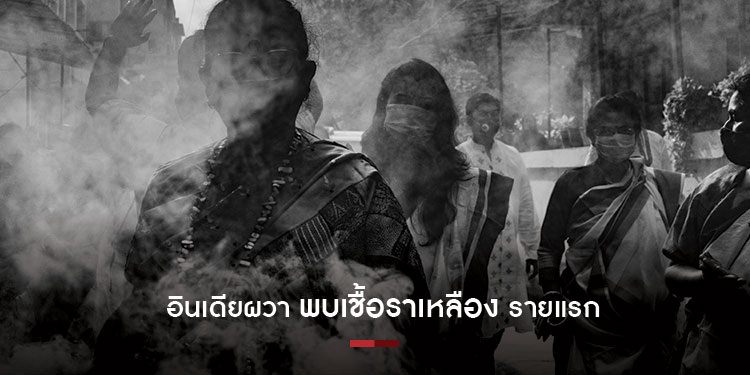 อินเดีย ผวาหนัก พบผู้ป่วยด้วยเชื้อราสีเหลือง รายแรก
