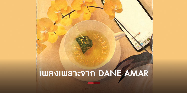 เสียงนุ่ม ฟังสบาย เพลลิสต์เพลงน่าฟังจาก Dane Amar