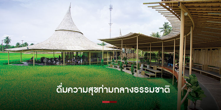 ดื่มความสุขท่ามกลางธรรมชาติ