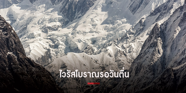 นักวิทยาศาสตร์พบภาวะโลกร้อนอาจปลุกไวรัสโบราณที่หลับใหลในน้ำเเข็งสู่โลก