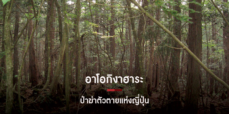 อาโอกิงาฮาระ ป่าฆ่าตัวตายแห่งญี่ปุ่น