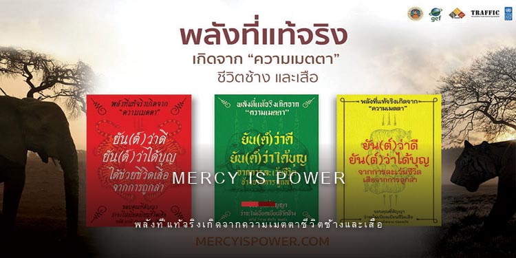 แคมเปญ ‘Mercy is Power - พลังที่แท้จริงเกิดจากความเมตตาชีวิตช้างและเสือ’