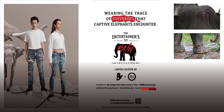 The Entertainer Pain Collection ยีนส์คอลเลกชั่นพิเศษ