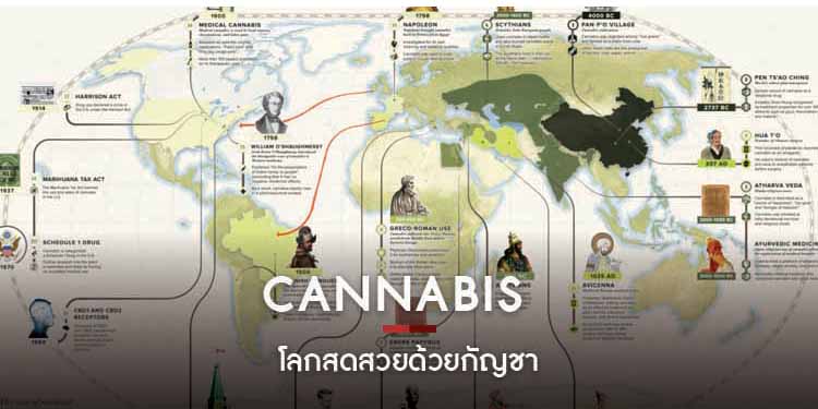 โลกสดสวยด้วยกัญชา  CANNABIS