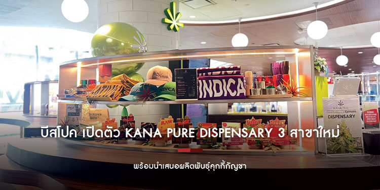 บีสโปค เปิดตัว KANA PURE Dispensary 3 สาขาใหม่ พร้อมนำเสนอผลิตพันธุ์คุกกี้กัญชา