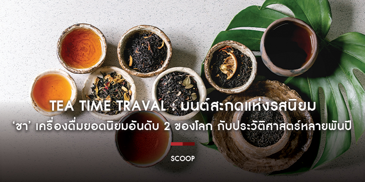 TEA TIME TRAVAL มนต์สะกดแห่งรสนิยม ‘ชา’ เครื่องดื่มยอดนิยมอันดับ 2 ของโลก กับประวัติศาสตร์การเดินทางที่ยาวนานหลายพันปี : Scoop