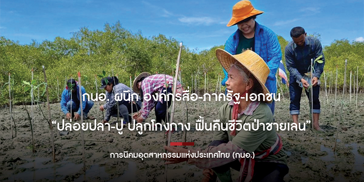  กนอ. ผนึก องค์กรสื่อ-ภาครัฐ-เอกชน “ปล่อยปลา-ปู ปลูกโกงกาง ฟื้นคืนชีวิตป่าชายเลน”