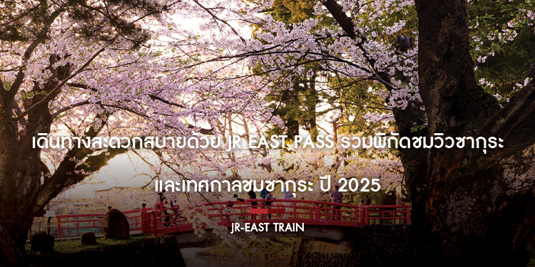 เดินทางสะดวกสบายด้วย JR East Pass รวมพิกัดชมวิวซากุระและเทศกาลชมซากุระ ปี 2025
