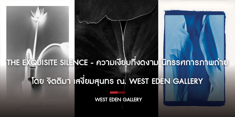 The Exquisite Silence - ความเงียบที่งดงาม นิทรรศการภาพถ่ายโดย จิตติมา เสงี่ยมสุนทร ณ. West Eden Gallery 20 มีนาคม - 25 พฤษภาคม 2568