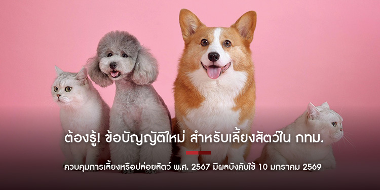 ต้องรู้ ! ข้อบัญญัติใหม่ สำหรับเลี้ยงสัตว์ใน กทม. ควบคุมการเลี้ยงหรือปล่อยสัตว์