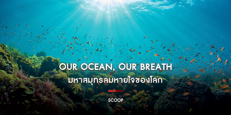 Our Ocean, Our Breath มหาสมุทรลมหายใจของโลก : Scoop