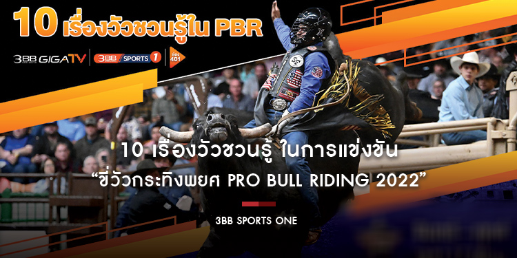 10 เรื่องวัวชวนรู้ ในการแข่งขัน “ขี่วัวกระทิงพยศ Pro Bull Riding 2022”