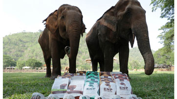 ลาซาด้าดึงไลฟ์สตรีมหนุนศูนย์บริบาลช้าง Elephant Nature Park ผ่านการท่องเที่ยวเสมือนจริง