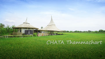 ดื่มความสุขท่ามกลางธรรมชาติ | CHATA Thammachart  | Issue 163