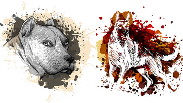 Scoop : The World’s 10 Most Deadly Dog Breeds 10 สุนัขจอมโหด | Issue 164