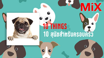 10 Things : The Best Dogs for Kids and Families 10 สุนัขสำหรับครอบครัว | Isuue 164
