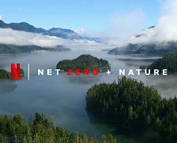 สู่ความบันเทิงผ่านการสตรีมที่เป็นมิตรต่อโลก Netflix