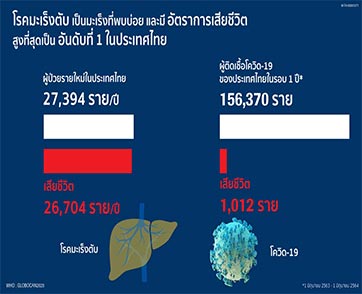 มะเร็งตับ ดับชีวิตคนไทย 73 รายต่อวันพุ่งสูงกว่าโควิด 26 เท่า/ปี