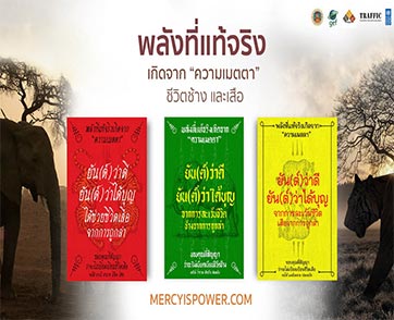 แคมเปญ ‘Mercy is Power - พลังที่แท้จริงเกิดจากความเมตตาชีวิตช้างและเสือ’
