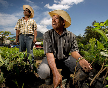 “ความยั่งยืน” ปรัชญาหลักของเนสเพรสโซสู่กลยุทธ์ขับเคลื่อนแบรนด์