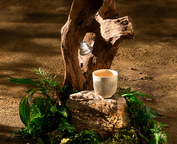 “Nespresso” ชวนดื่มด่ำรสชาติกาแฟ Specialty ระดับ Grand Cru (กรองครู) กับ 2 รสชาติลิมิเต็ด อิดิชั่น ใหม่ ในกลุ่ม Master Origins