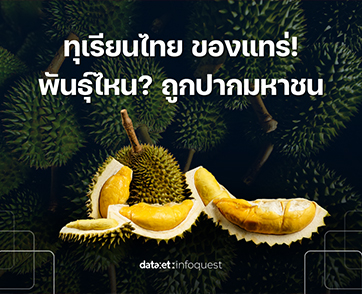 ทุเรียนไทย ของแทร่! พันธุ์ไหน? ถูกปากมหาชน