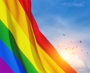 Equal Rights For All สมดุลแห่งความเท่าเทียม : Scoop