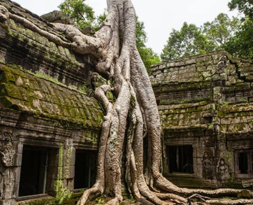 Khom Empire   หรือ “อาณาจักรขอม” 