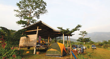 บ้านป่าหมาก