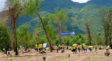 ลามิน่าปลูกป่าติดฟิล์มให้โลกปี 8